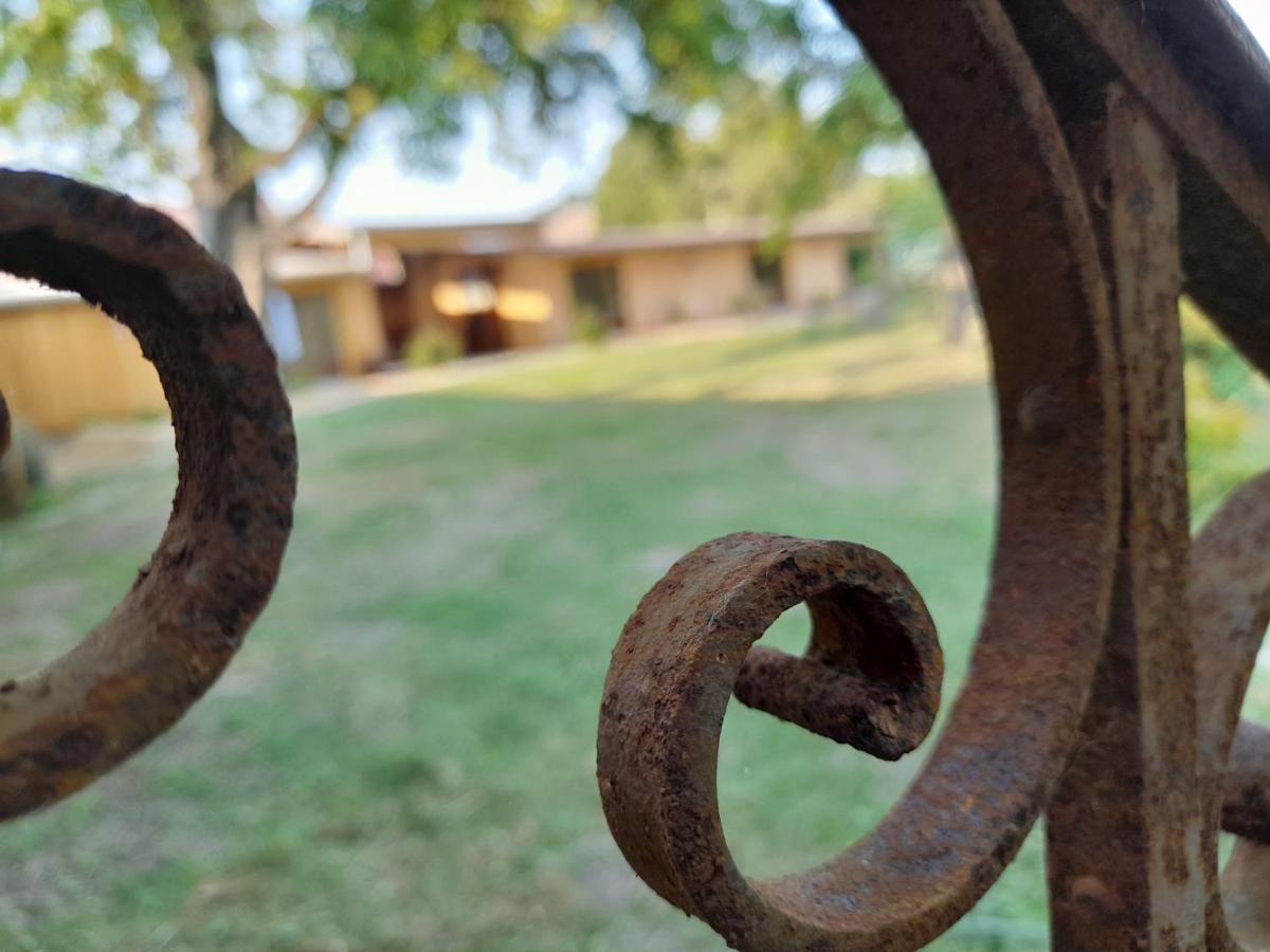 Les Cottages Du Chateau De Werde Matzenheim Buitenkant foto